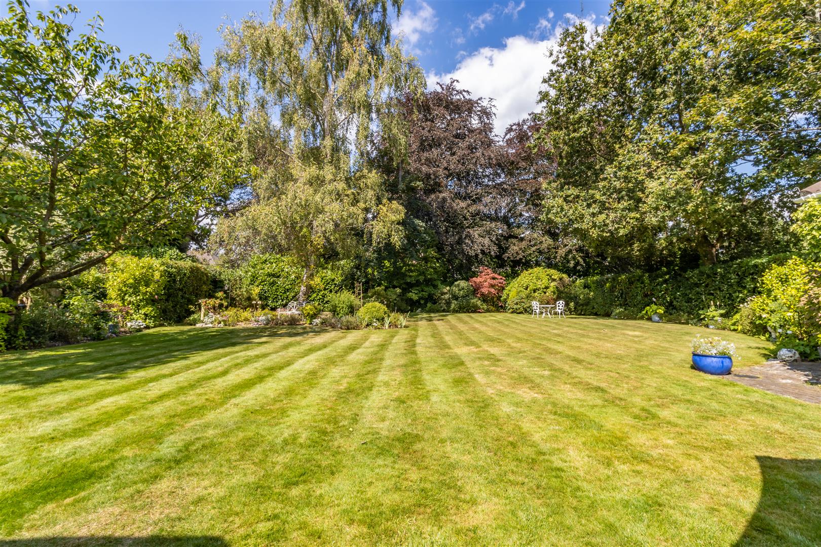 Property information Luxury & Prestige